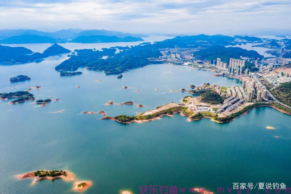 [ 鲫鱼钓 ] 六千字 台钓鲫鱼十九招 技巧大全，收藏细看(图12)