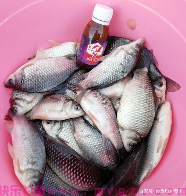 钓鲫鱼，用什么饵料最好钓？(图3)