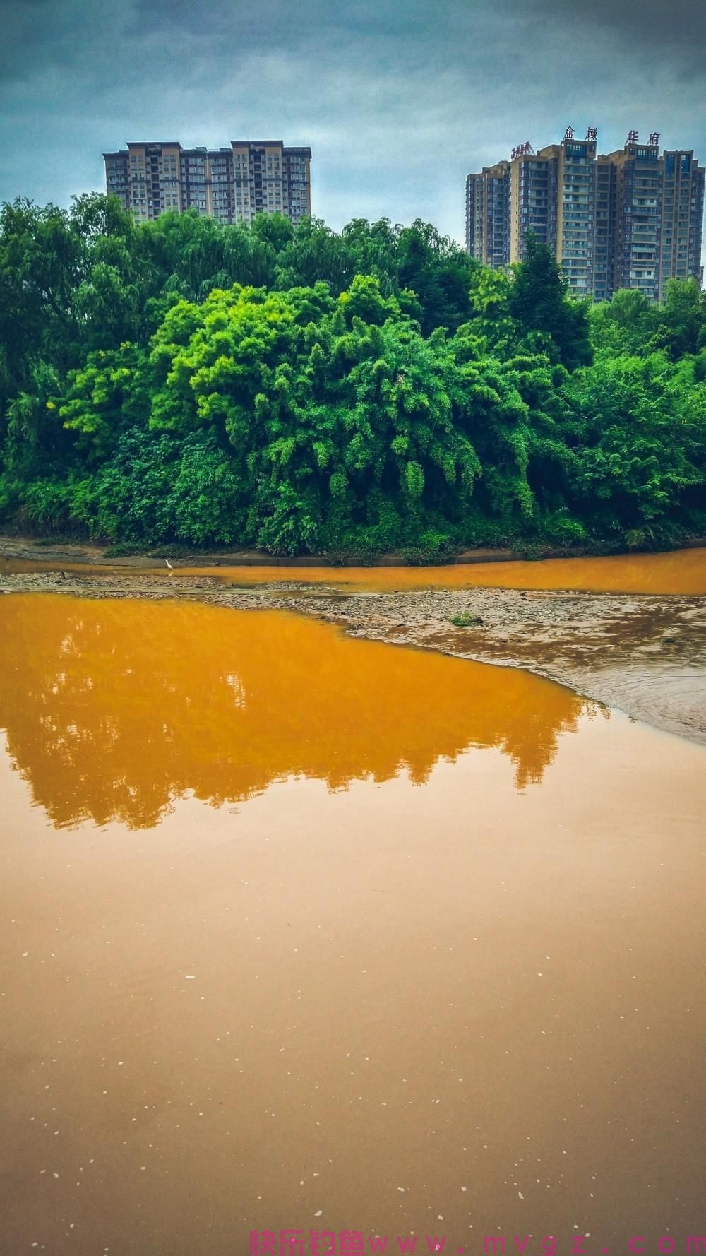 钓鲫鱼在何时选择钓浮，这些技巧需掌握(图3)