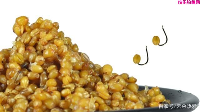 夏季野钓鲫鱼，常用这4种饵料，野生鲫鱼连竿上！(图3)