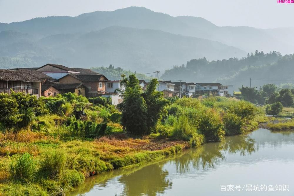 在肥水钓场应该如何使用钓鱼小药？肥水黑坑钓场鲤鱼最喜欢的味型