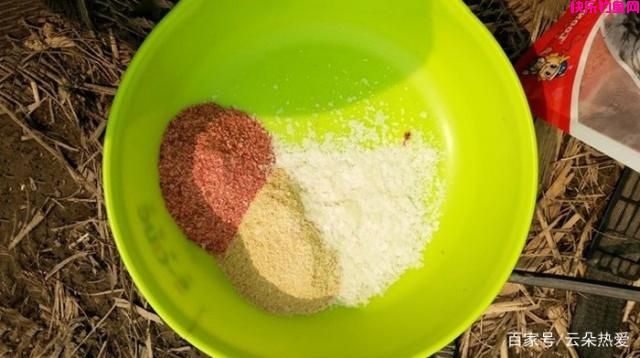 夏季野钓鲫鱼，常用这4种饵料，野生鲫鱼连竿上！(图4)