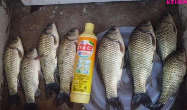 老钓友不愿透漏的3款天然饵料配方,5分钟看完,钓鱼经常爆护!(图4) 老钓友不愿透漏的3款天然饵料配方,5分钟看完,钓鱼经常爆护!(图4)