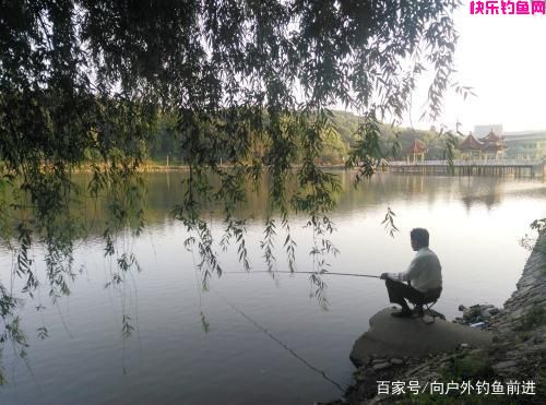 别眨眼，这15款饵料配方适合全水域钓鲤鱼，钓友：赶快抄下来！(图1)