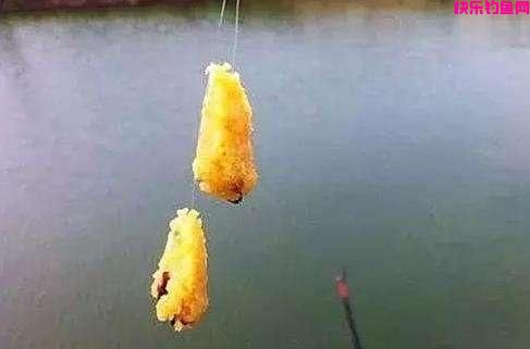 涨姿势！非常有效的3款钓鲤鱼饵料配方，3小时狂拉67斤鲤鱼！