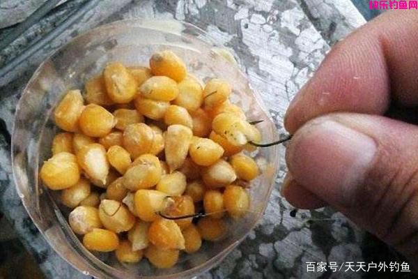 仲秋钓鱼必杀饵料配方，爽钓国庆长假(图3)