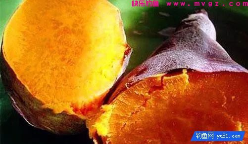 钓鲫鱼就用红薯+蜂蜜做拉饵=20斤鱼获！(图1)