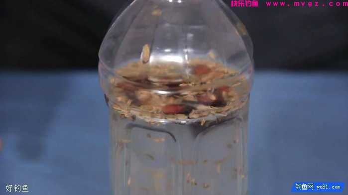 自制小药，茴香八角酒，钓鲫鲤效果奇好(图6)