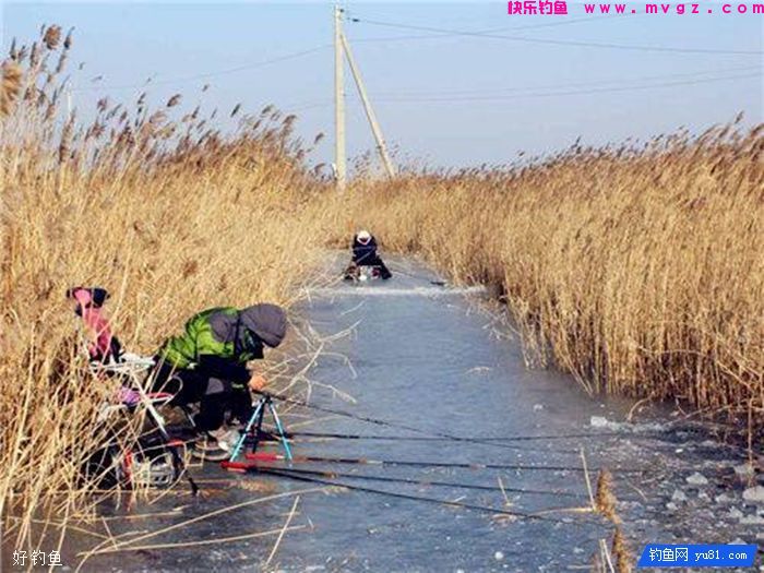 冬季钓鲫鱼，我们如何打窝才能更好的诱鱼(图1)