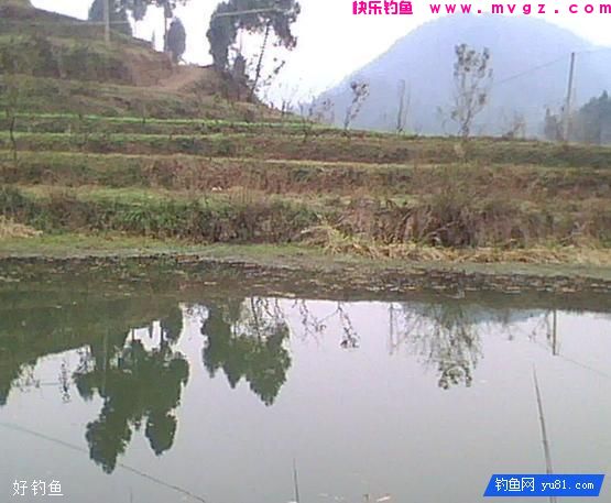 野钓鲫鱼难上钩?教你一个简单小窍门(图3) 野钓鲫鱼难上钩?教你一个简单小窍门(图3)