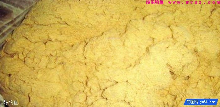秋季钓上野生大鲫鱼，不妨试试这种简单的鲫鱼饵料(图1)