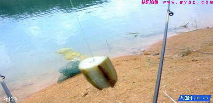 深秋正式改用6种纯天然饵料，钓鲫鲤草全靠它(图3)