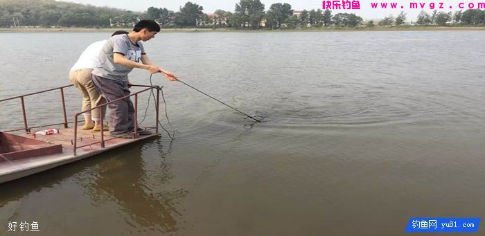 深秋正式改用6种纯天然饵料，钓鲫鲤草全靠它(图4)