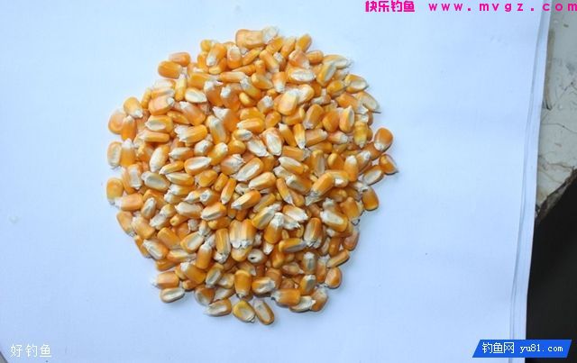 三款自制打窝米，诱鲫诱鲤效果佳！(图1)
