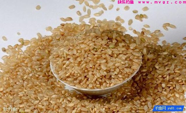 三款自制打窝米，诱鲫诱鲤效果佳！(图2)