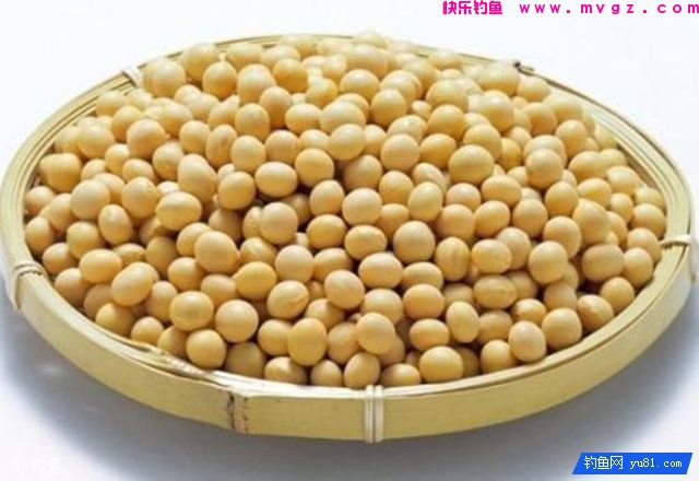 专钓野生鲫鱼的两个实用配方(图2)