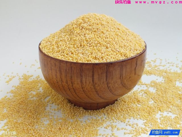 3款野钓鲫鱼的天然饵料配方(图1)