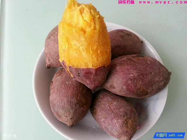 专钓野生鲤鱼鲫鱼的红薯混合饵料(图1)