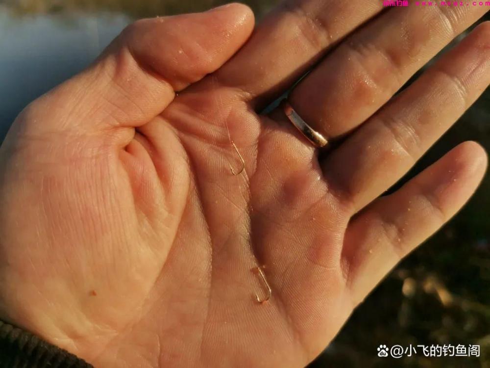 钓鲫鱼之“竿线漂钩饵”的选择，看似简单，其实非常影响鱼获(图4)