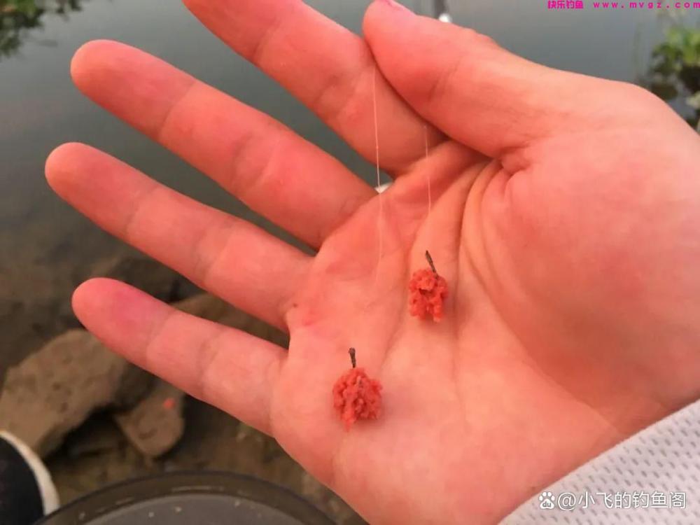 钓鲫鱼之“竿线漂钩饵”的选择，看似简单，其实非常影响鱼获(图6)