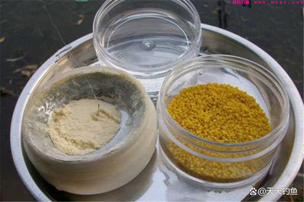 晚春钓鲫鱼，应该用这种方法了，适合小鱼群里钓大鲫(图4)