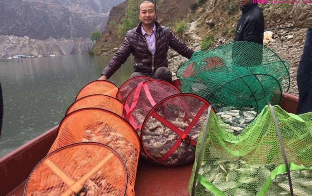 四月下旬钓鲫鱼,想要大板鲫连竿上,只需记住这7个技巧就行!(图9) 四月下旬钓鲫鱼,想要大板鲫连竿上,只需记住这7个技巧就行!(图9)