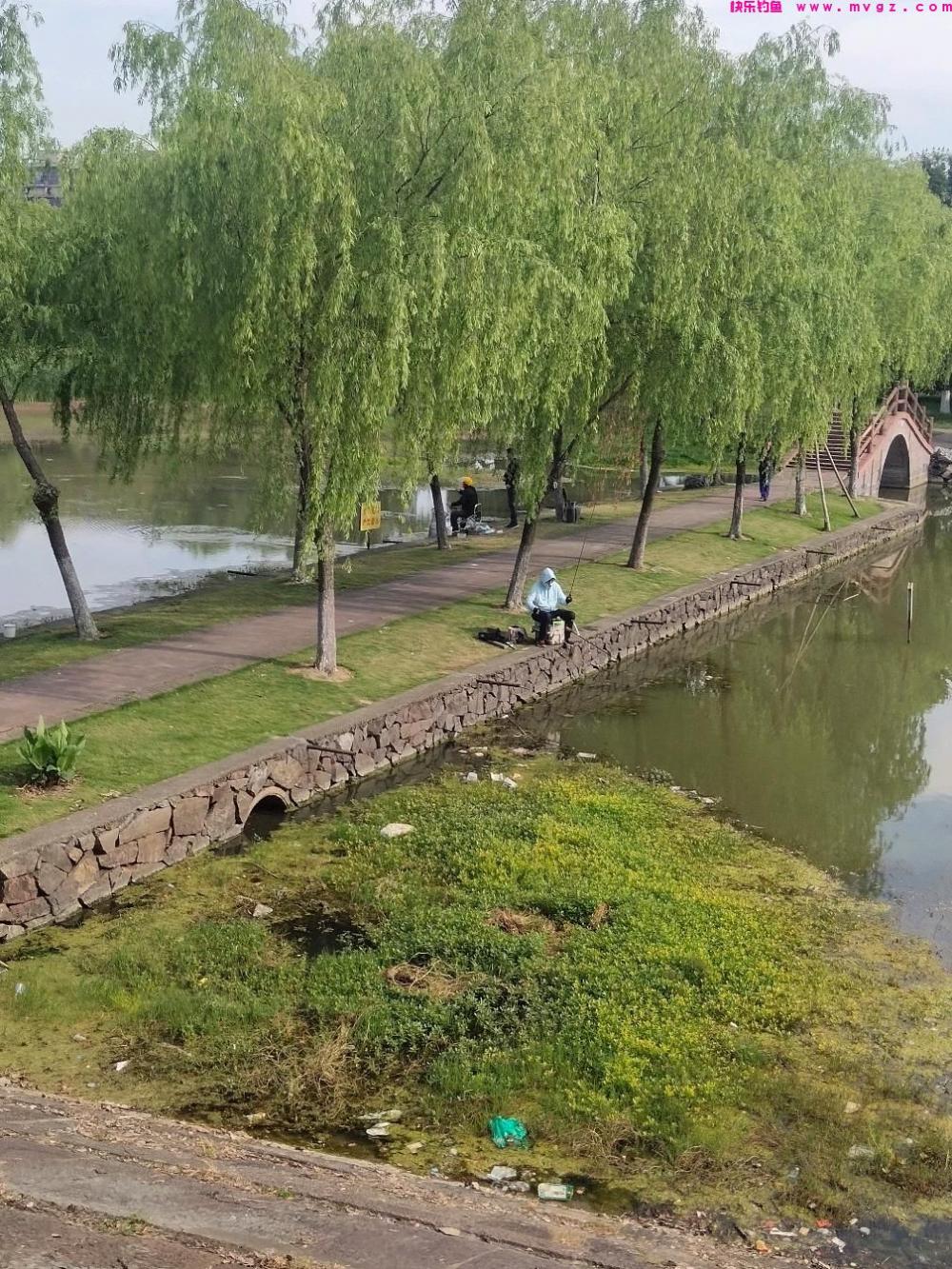 四月谷雨，钓鲫鱼的黄金期已来临。要想爆护，做到以下几点即可(图6)