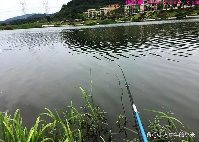 晚春如何钓鲫鱼(图1)