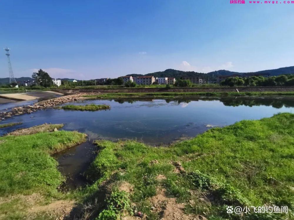 春季一过鲫鱼就没法钓了？找到对的时间和钓位，照样连杆！(图3)