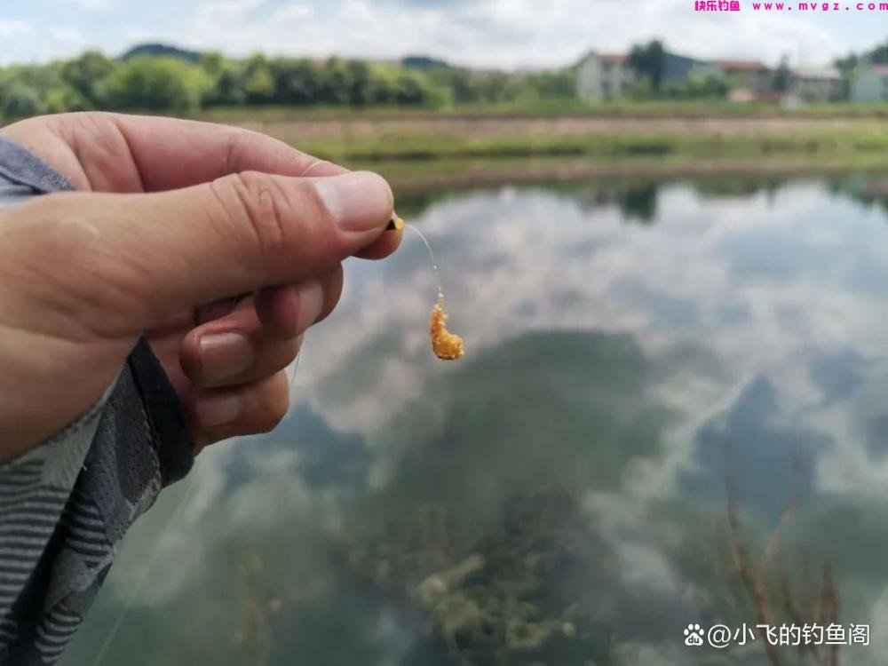 春季一过鲫鱼就没法钓了？找到对的时间和钓位，照样连杆！(图5)
