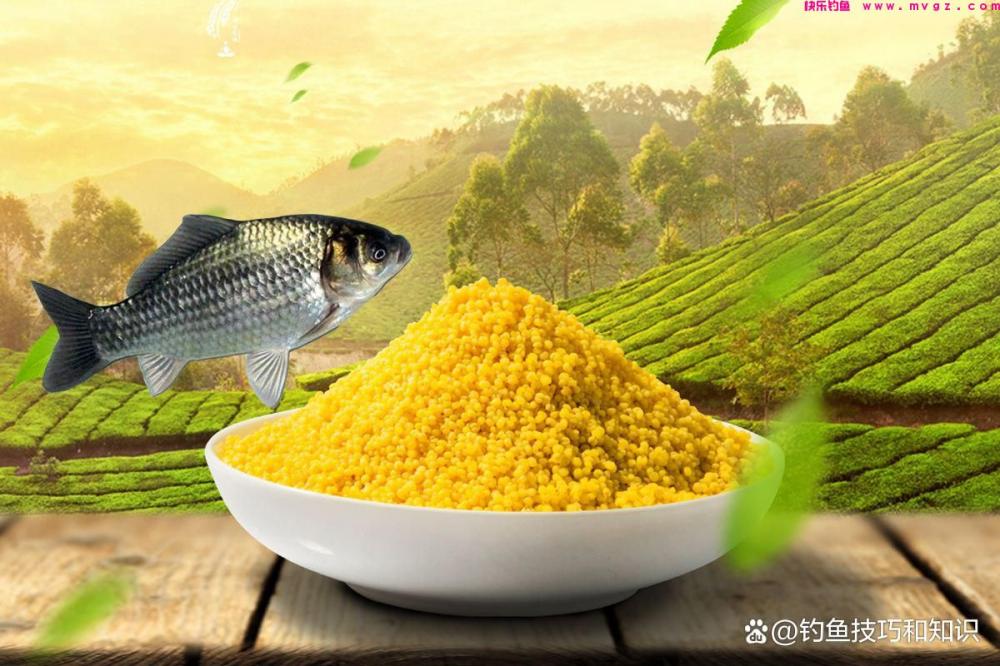 野钓鲫鱼分成四个步骤，严格按照流程走，渔获一般少不了(图4)