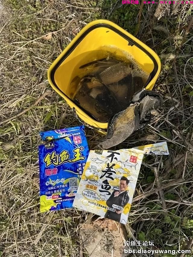 仲春钓鲫，抓住尾声(图5)