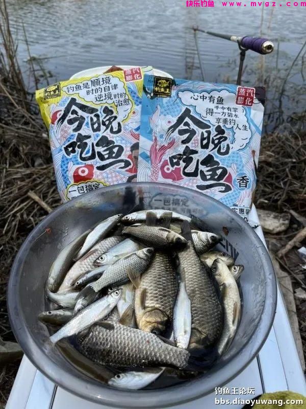 仲春钓鲫，抓住尾声(图7)