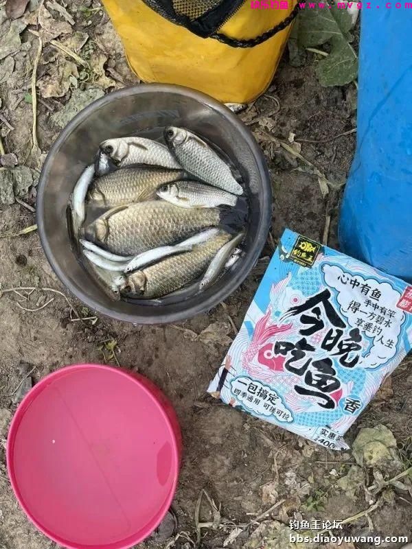 仲春钓鲫，抓住尾声(图10)