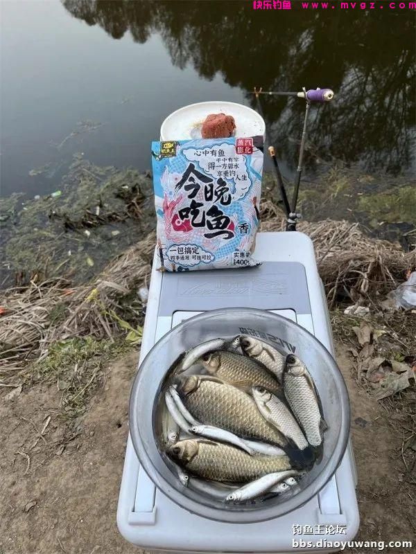 仲春钓鲫，抓住尾声(图11)