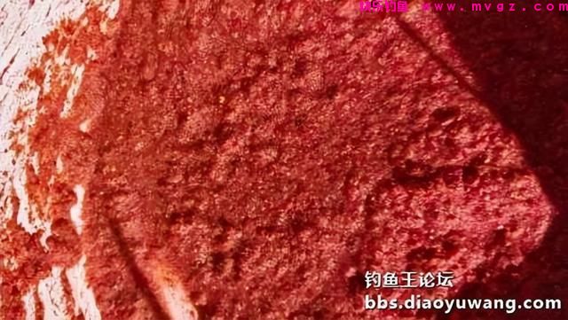 春钓鲫鱼，超额完成任务，今晚吃鱼(图5)