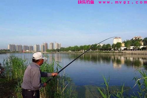 都说鲫鱼“经不起三逗”，告诉你这4种逗钓法，钓鲫鱼又快又准(图1)
