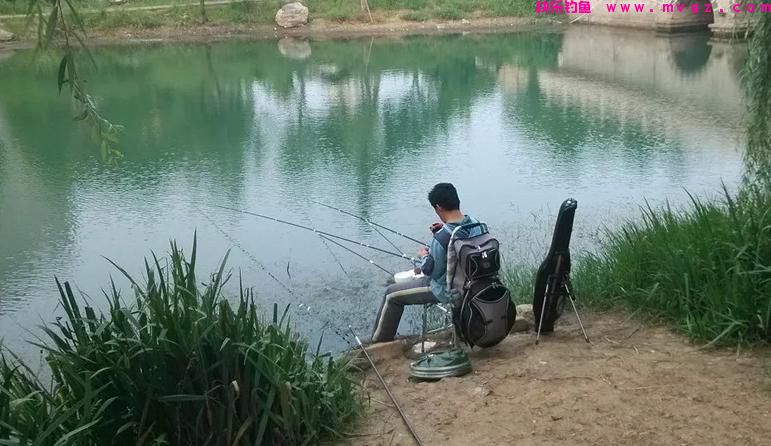 春天适合钓鲫鱼，为什么大鲫鱼还是难得一见？想钓大鲫鱼看这里(图3)