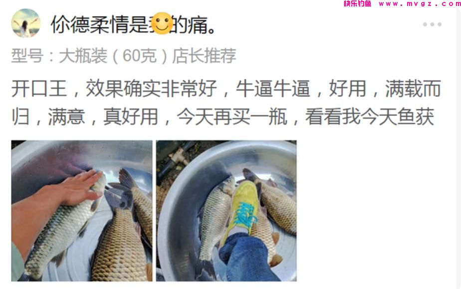 冬季钓获鲫鱼的4个诀窍，照着做，大板鲫钓了一条接一条(图9)