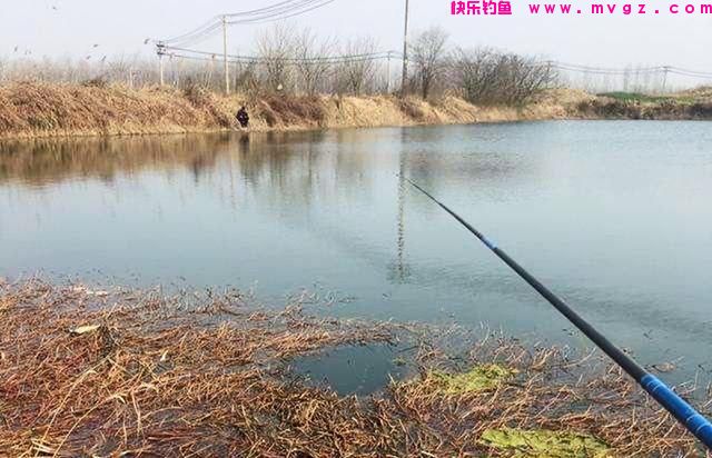 冬季无鱼可钓？学学钓鲫鱼的窍门，冬钓大板鲫比钓鲤鱼更过瘾(图3)