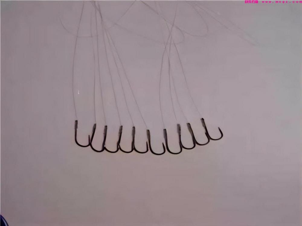 多长的子线最适合钓鱼？这些数据告诉你(图3)