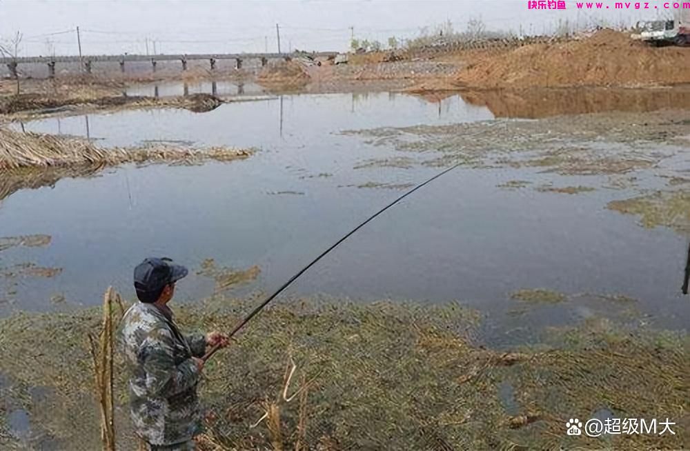还有钓友不知道秋冬怎么野钓鲫鱼，快来看一看野钓鲫鱼的小妙招吧(图3)