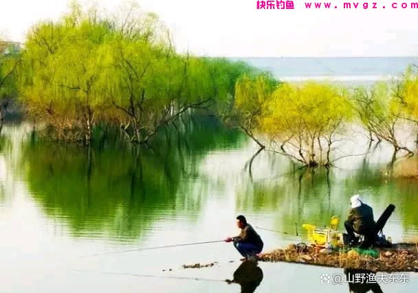 深秋钓鲫鱼，学会这些方法和技巧，上鱼效果明显(图1)