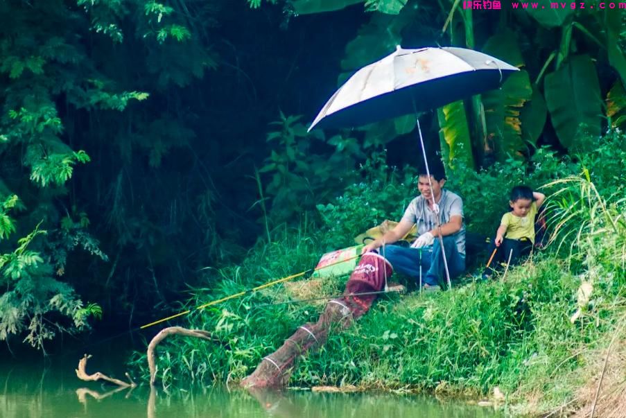 盛夏季节如何钓鲫鱼？注意这三点就够了，大