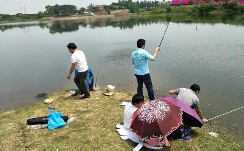 夏季钓鲫鱼，有三类钓位需要避开，钓鱼新手一定要多看看(图3)