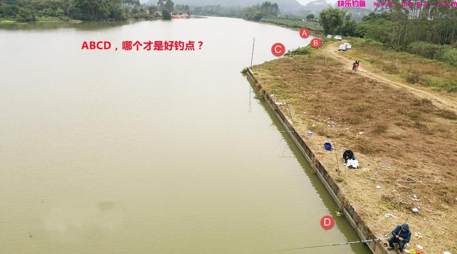 夏季钓鲫鱼，有三类钓位需要避开，钓鱼新手一定要多看看(图4)