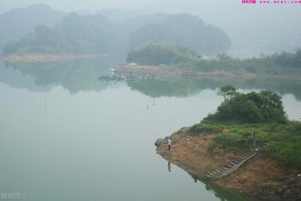 鲫鱼难钓？野外垂钓，只要把握这三个方面，有助于上鲫鱼(图1)