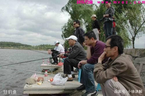 钓鲫鱼时应该注意及实用的四点技巧，六年的钓鲫经验(图1)