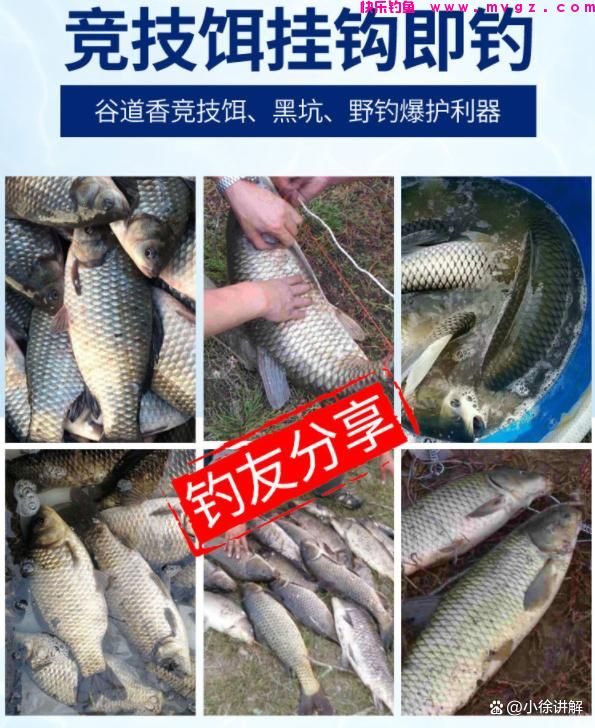 钓鲫鱼时应该注意及实用的四点技巧，六年的钓鲫经验(图9)