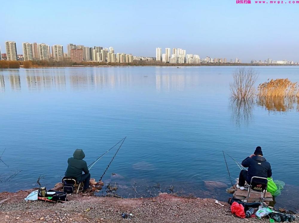 野钓大鲫鱼，春天只需要记住三点，钓大板鲫就是这么简单(图3)